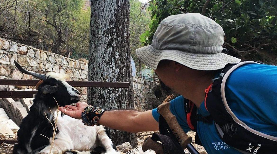 Nature and wildlife tours in Turkey