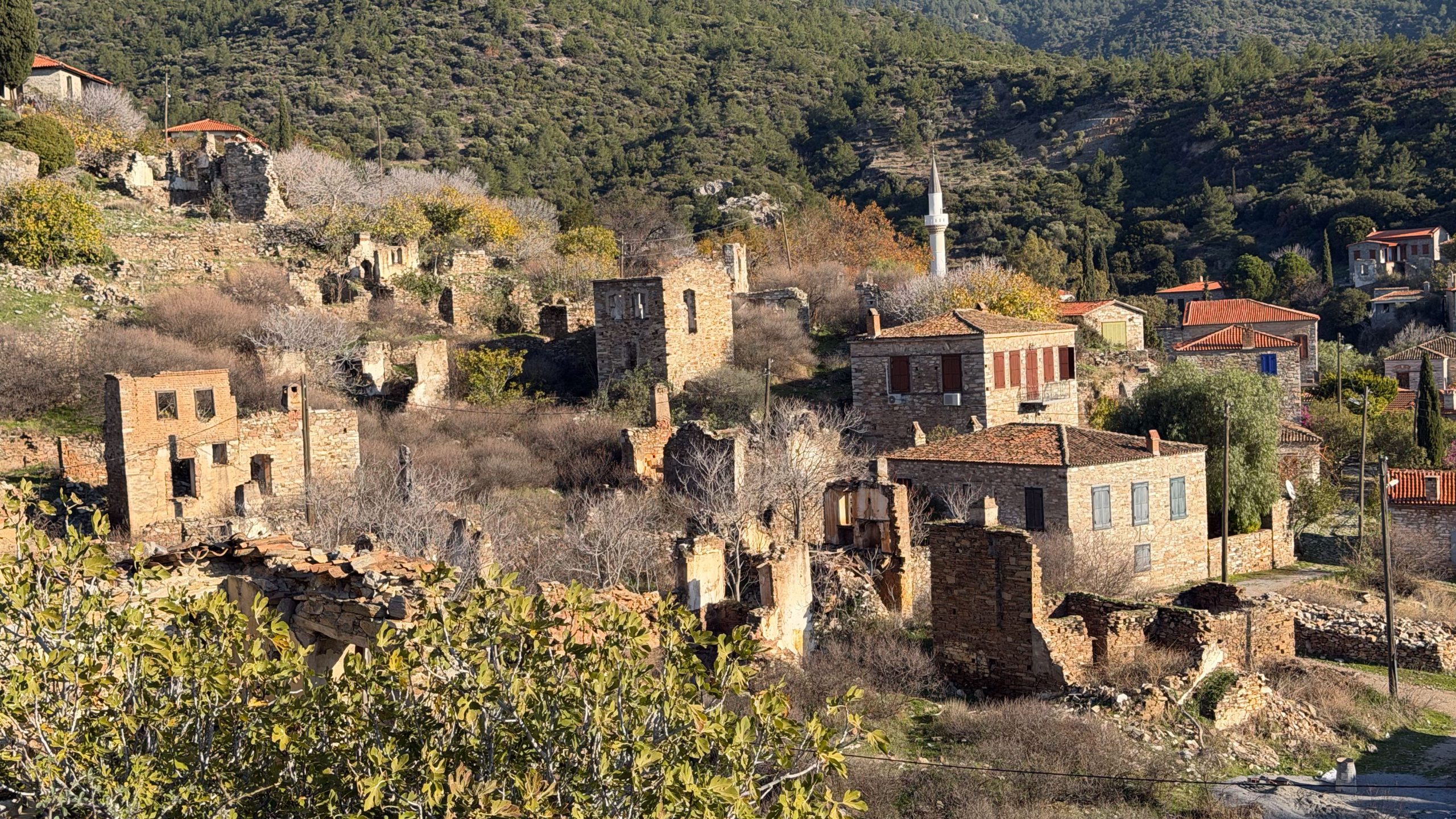 Archaeological walking tour in Western Anatolia