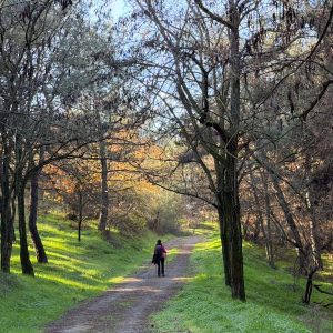 Hiking around Ancient Ionian cities of Western Turkey
