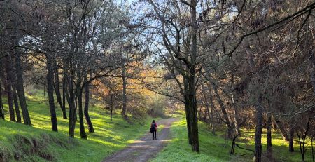 Hiking around Ancient Ionian cities of Western Turkey
