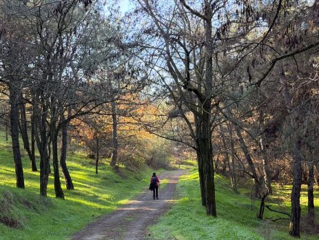 Hiking around Ancient Ionian cities of Western Turkey