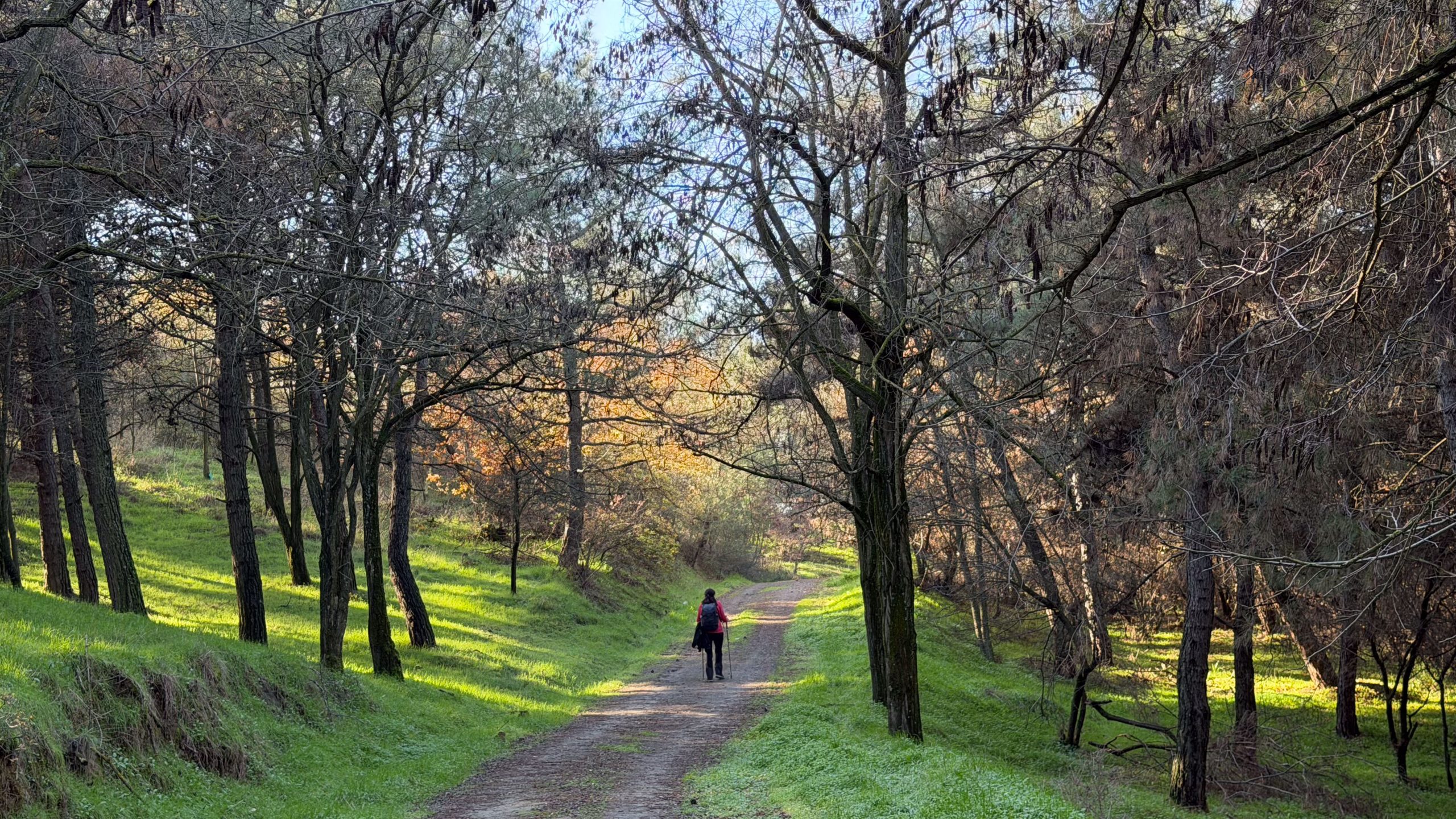 Hiking around Ancient Ionian cities of Western Turkey