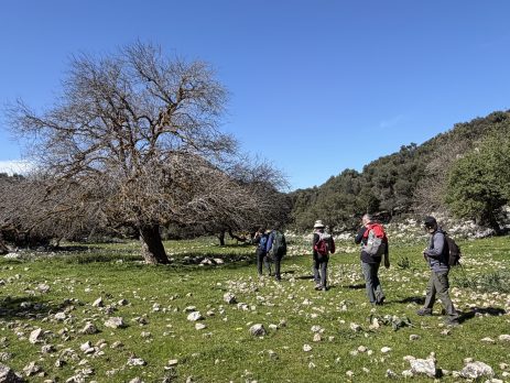 Bozburun Peninsula walking route