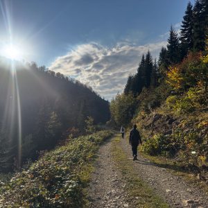 Walks in Macahel region