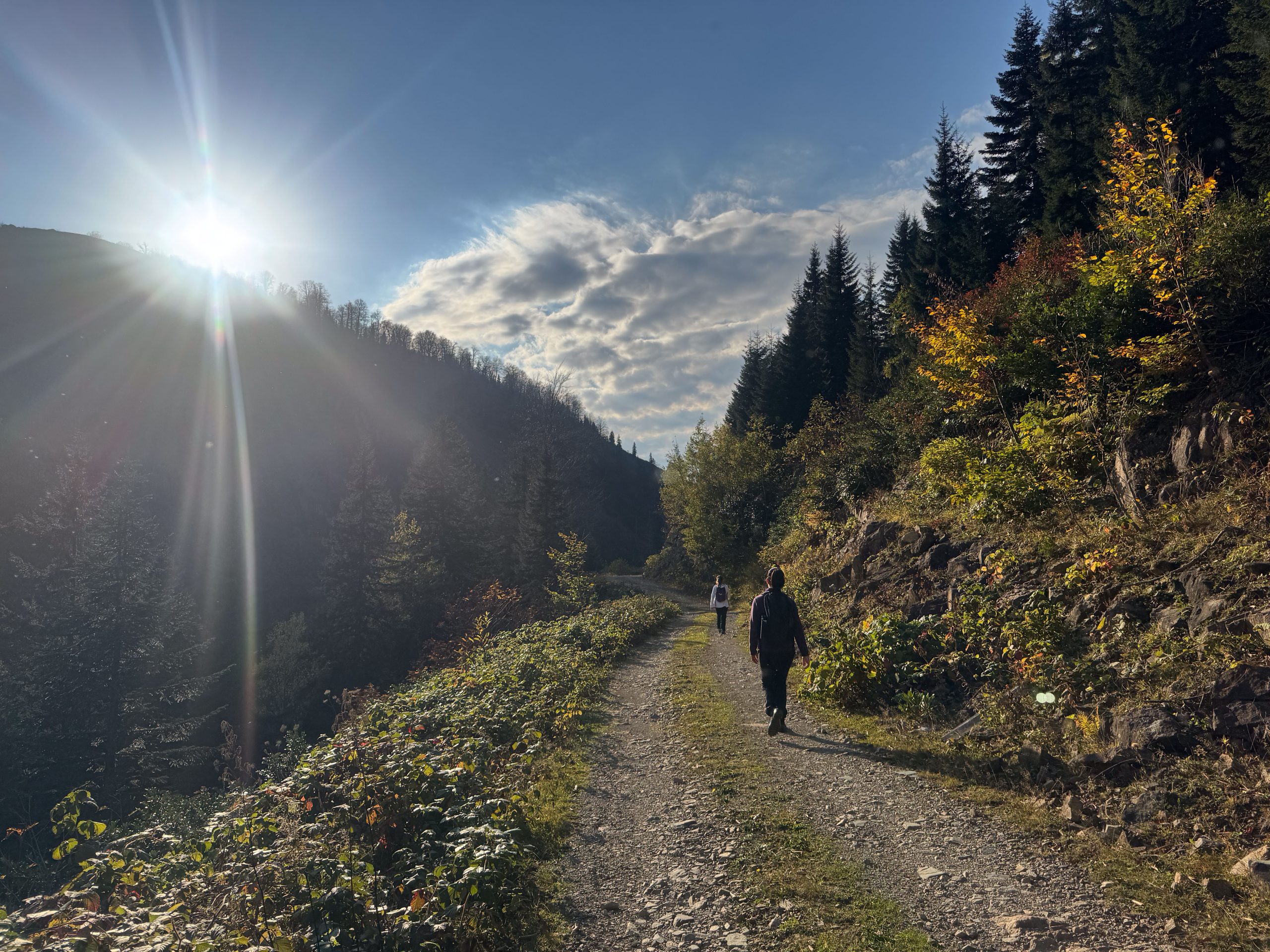Walks in Macahel region